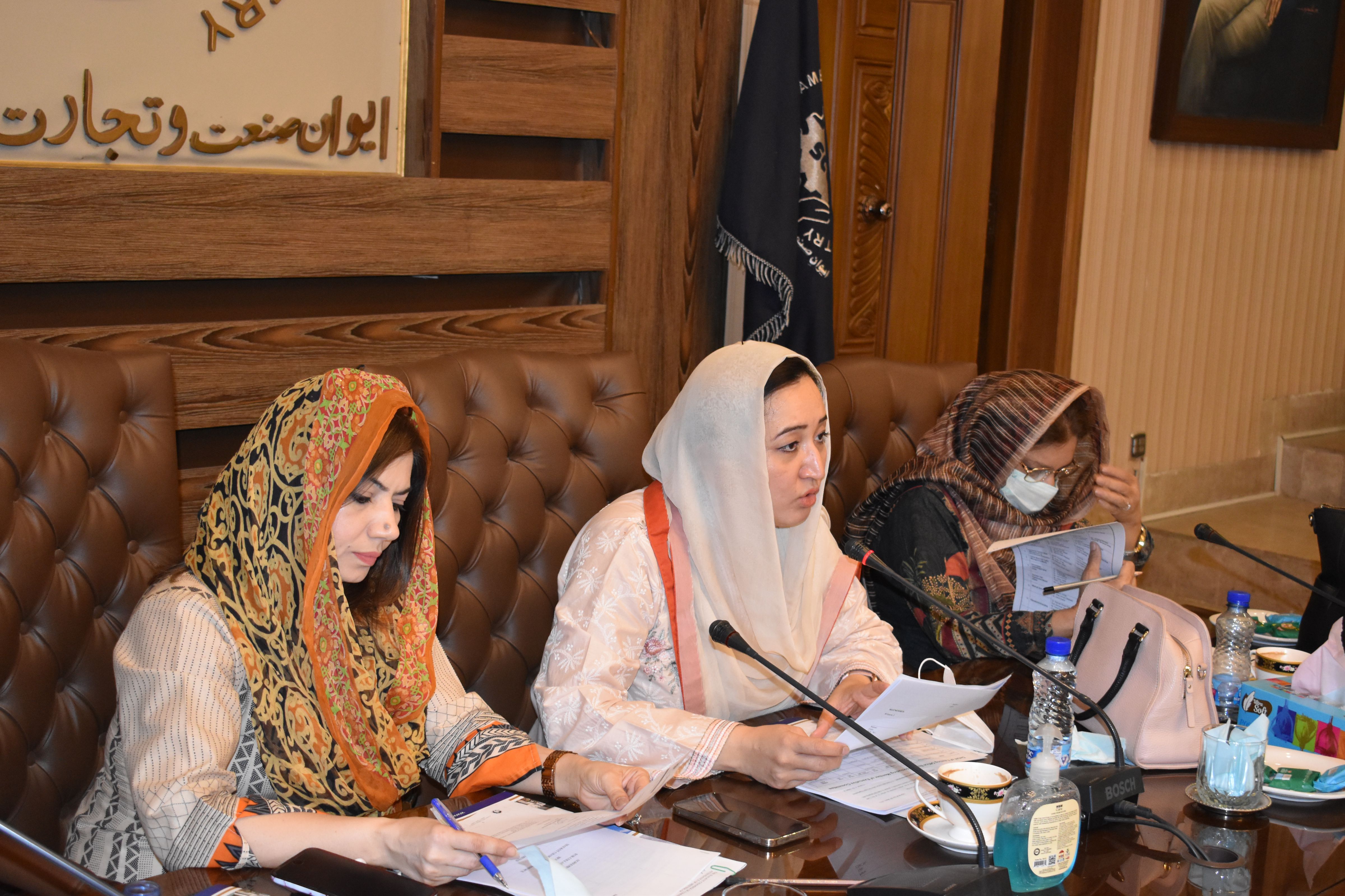 On May 27, 2021, A meeting of Departmental Committee on Women Entrepreneurs was held at SCCI.